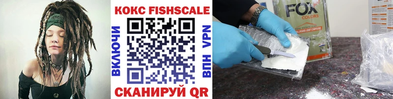 купить закладку  Жуковский  Кокаин FishScale 