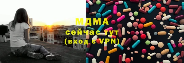 apvp Бородино
