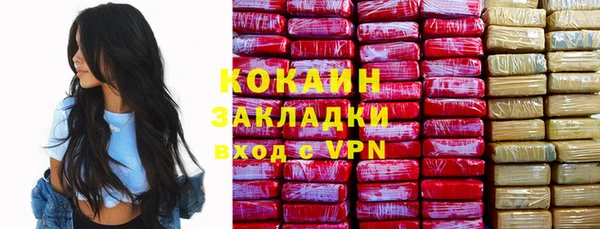apvp Бородино