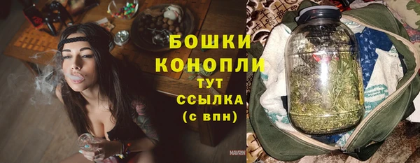 apvp Бородино